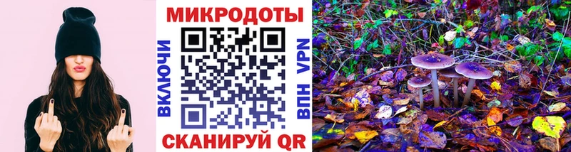 hydra tor купить наркотики сайты Покров Галлюциногенные грибы мухоморы